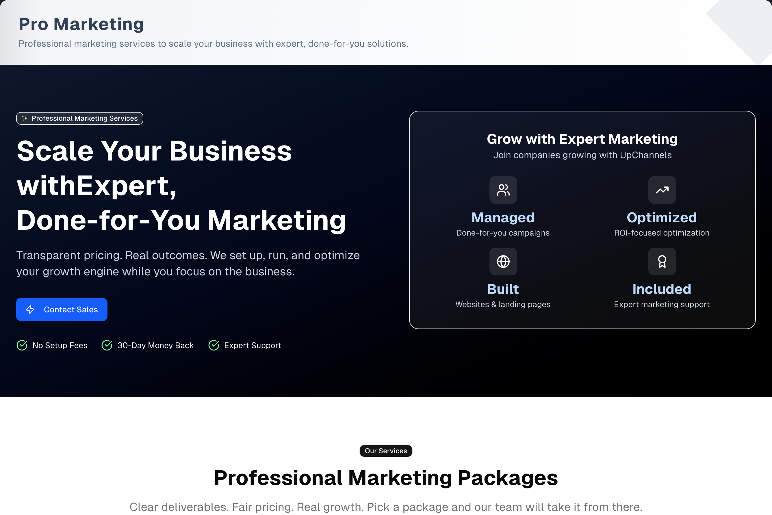 Pro Marketing